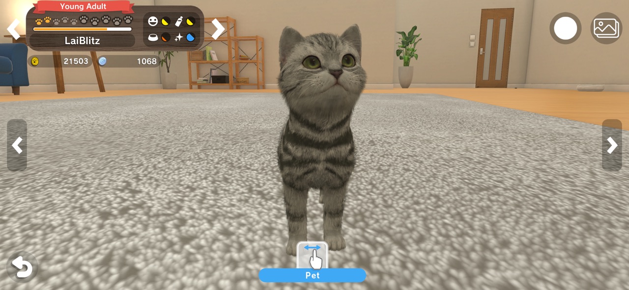 with My Buddy screenshot — petting a cute tabby kitten in a cozy living room